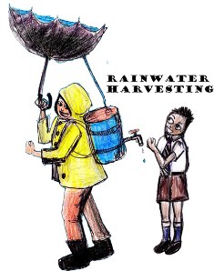 An Illustration of Rainwater Harvesting.